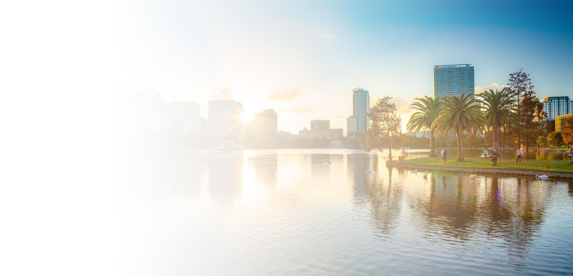 A lakeside cityscape with a green lawn, palm trees, and ducks.