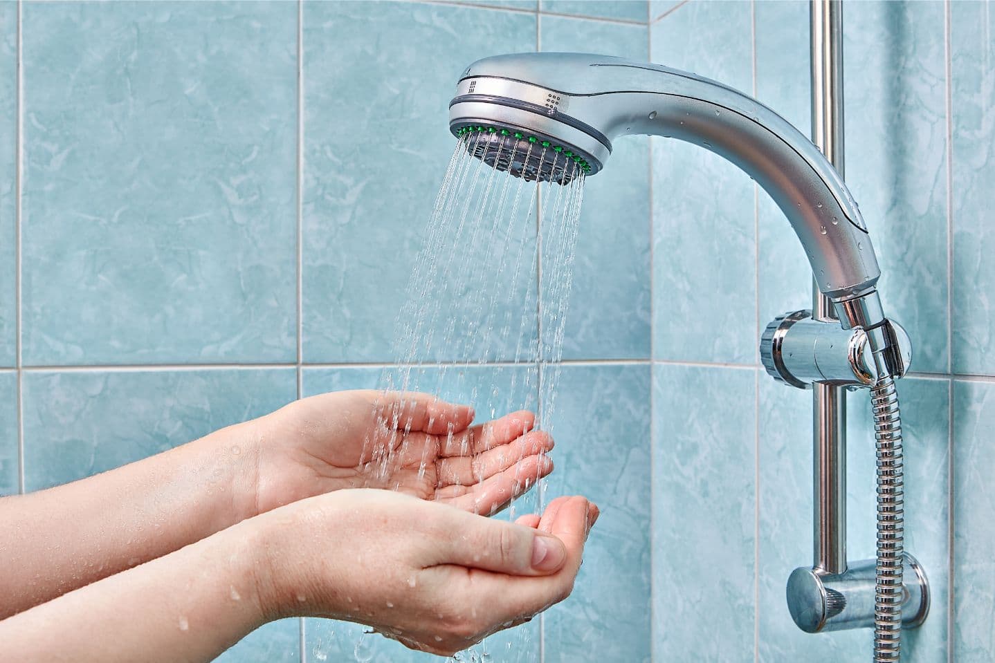 Hands under a running shower head.